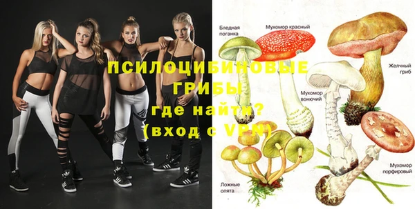 мет Алексин