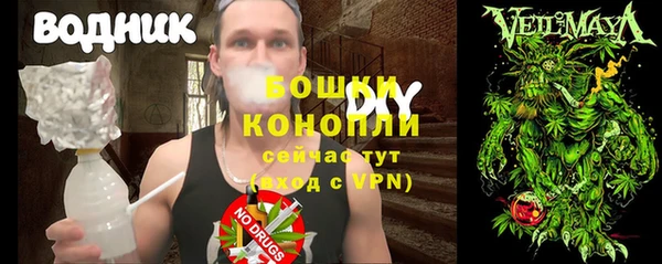 мет Алексин