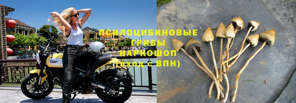 бошки Алексеевка