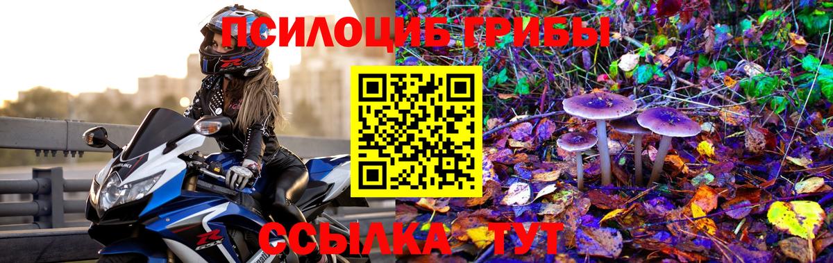 Владивосток  Псилоцибиновые грибы мухоморы  Вход с VPN 