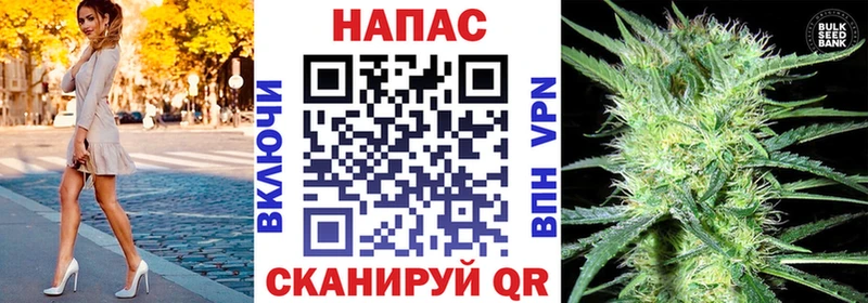 Бошки Шишки MAZAR  Владивосток 